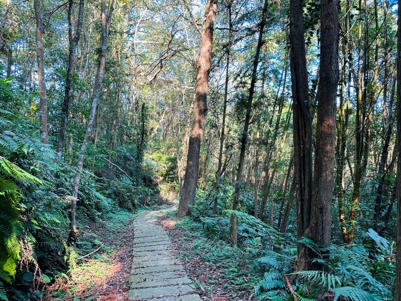 dragonride03 橫山-騎龍古道 簡單但有點冷門 搭配產業道路走的好愜意