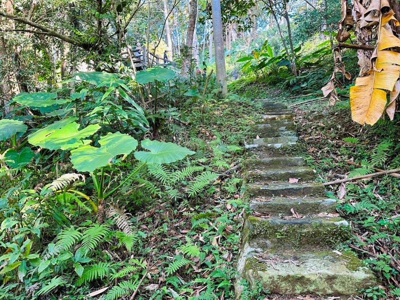 dragonride04 橫山-騎龍古道 簡單但有點冷門 搭配產業道路走的好愜意