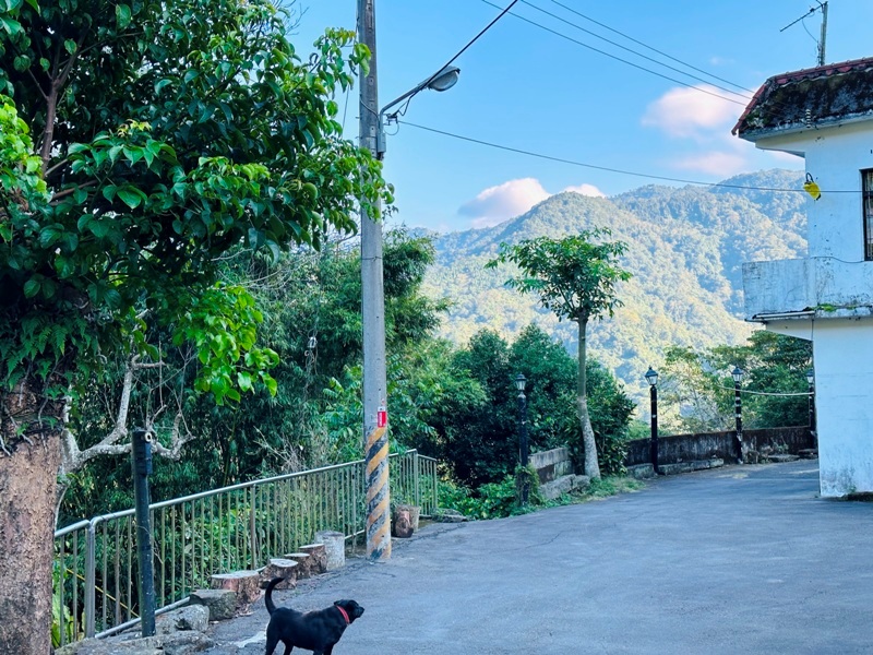 dragonride10 橫山-騎龍古道 簡單但有點冷門 搭配產業道路走的好愜意