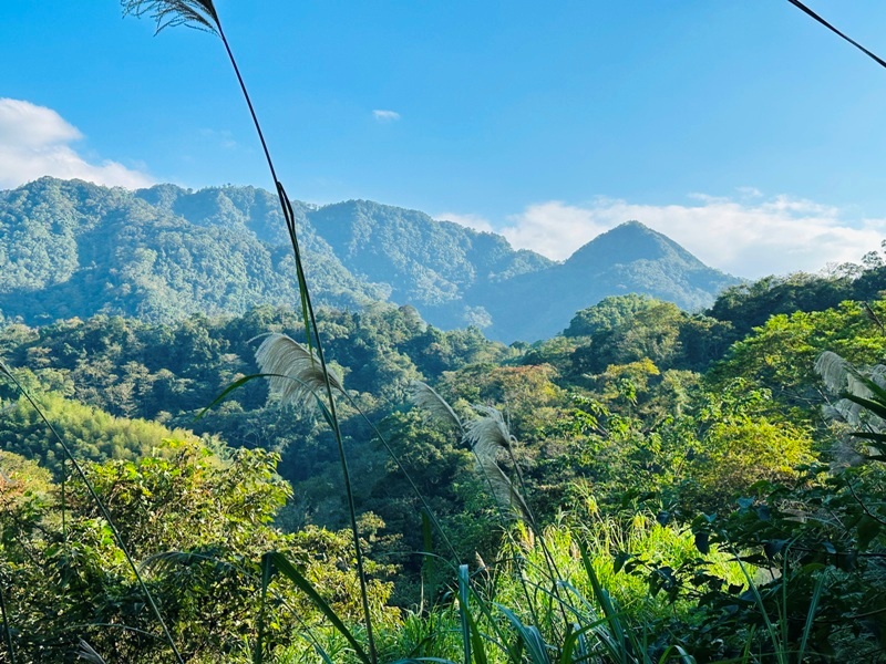 dragonride14 橫山-騎龍古道 簡單但有點冷門 搭配產業道路走的好愜意