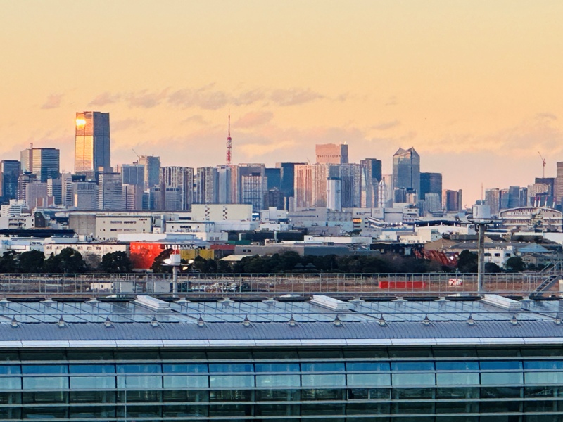 flyjl12 202312 松山羽田 日航餐點退步?