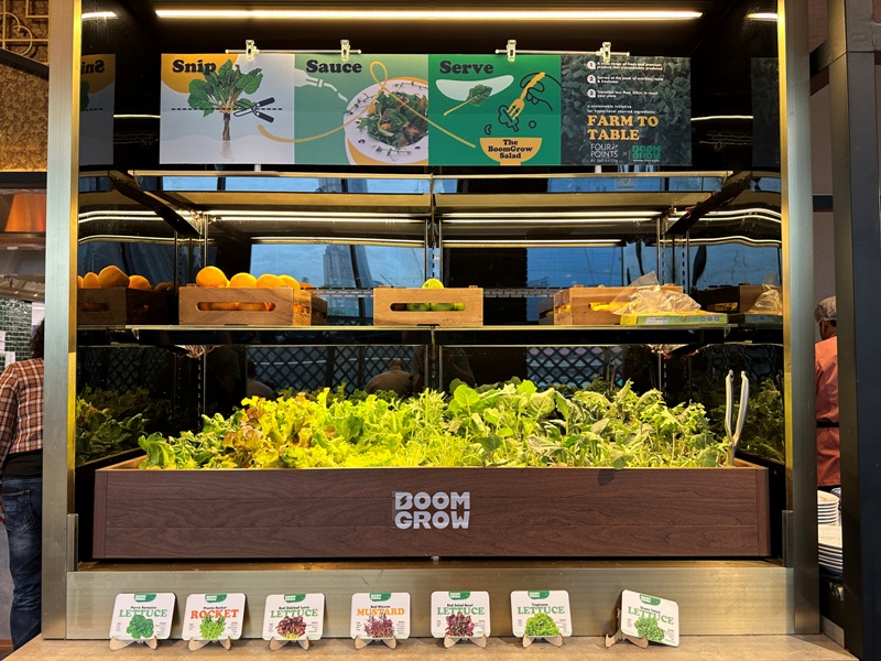 fourpointsKL14 Kuala Lumpur-吉隆坡中國城福朋喜來登酒店 簡單新穎