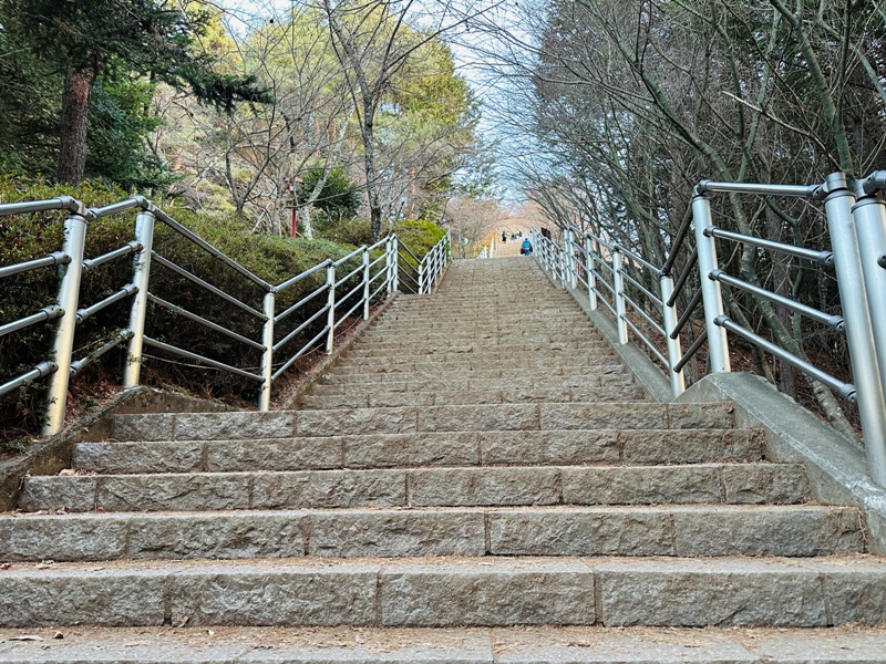 fujiyoshida08 Fujiyoshida-一路往富士山散步 新倉山淺間公園/國道139號/金鳥居
