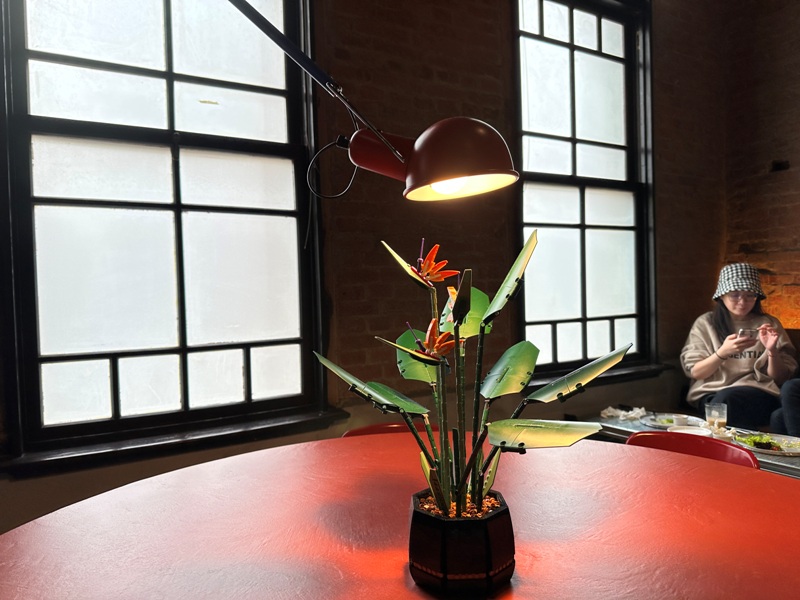 hausinc103516 台中中區-Hausing 1035昔日眼科今日老宅咖啡