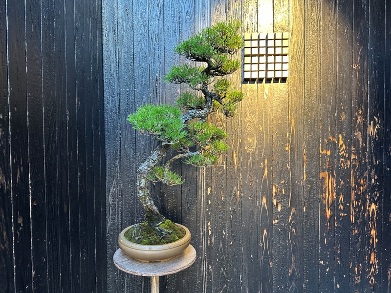 mameya02 Omotesando-Koffee Mameya表參道小巷 隱藏版咖啡