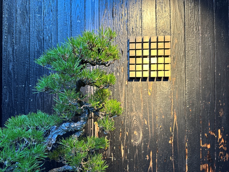 mameya03 Omotesando-Koffee Mameya表參道小巷 隱藏版咖啡