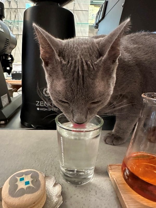 wrightbooks18-rotated 中山-重本書店Weight Books滿滿未來感 時尚雜誌配咖啡甜點