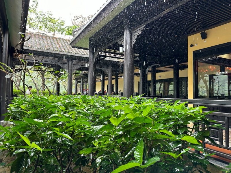 banahill03 Danang-Bana Hill巴拿山 法國小鎮雲霧飄渺 佛手橋萬頭鑽動