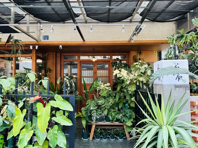 juejuecafe100103-jpeg 新竹-蕨蕨植栽咖啡 輕聲細語享受綠意與咖啡