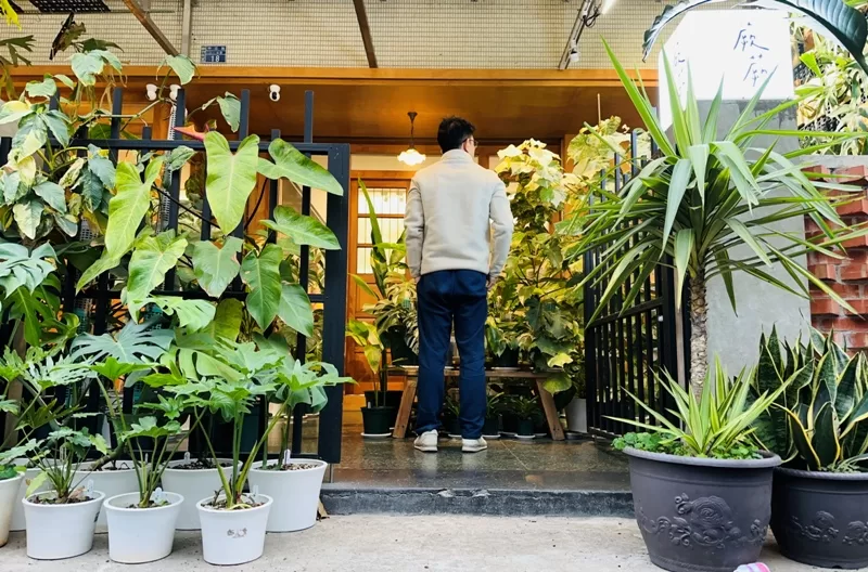 juejuecafe100104-jpeg 新竹-蕨蕨植栽咖啡 輕聲細語享受綠意與咖啡