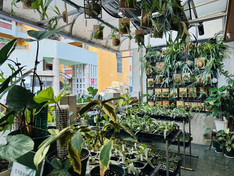 juejuecafe100106-jpeg 新竹-蕨蕨植栽咖啡 輕聲細語享受綠意與咖啡