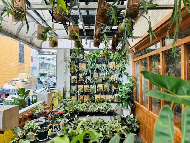 juejuecafe100107-jpeg 新竹-蕨蕨植栽咖啡 輕聲細語享受綠意與咖啡