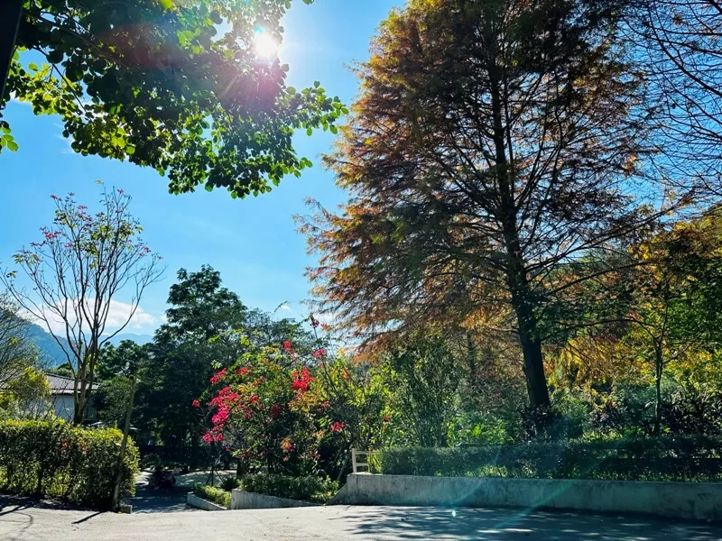 rijian02-jpeg 尖石-日見森嵐 與油羅山為伴 享藍天綠樹的輕鬆