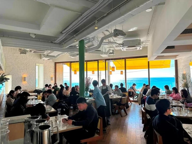 billss0702-jpg Shichirigahama-陽光沙灘富士山與bills的鬆餅 七里ガ浜海岸一次給你