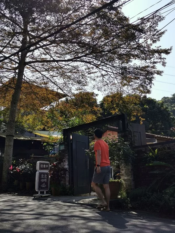 bocafe12-jpg 新店-波波咖啡 被綠意包圍的山邊老宅