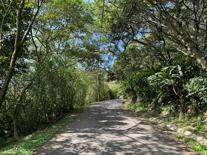dadong10-jpg 龜山-山佳/大棟山/樹林 春暖花開走起來