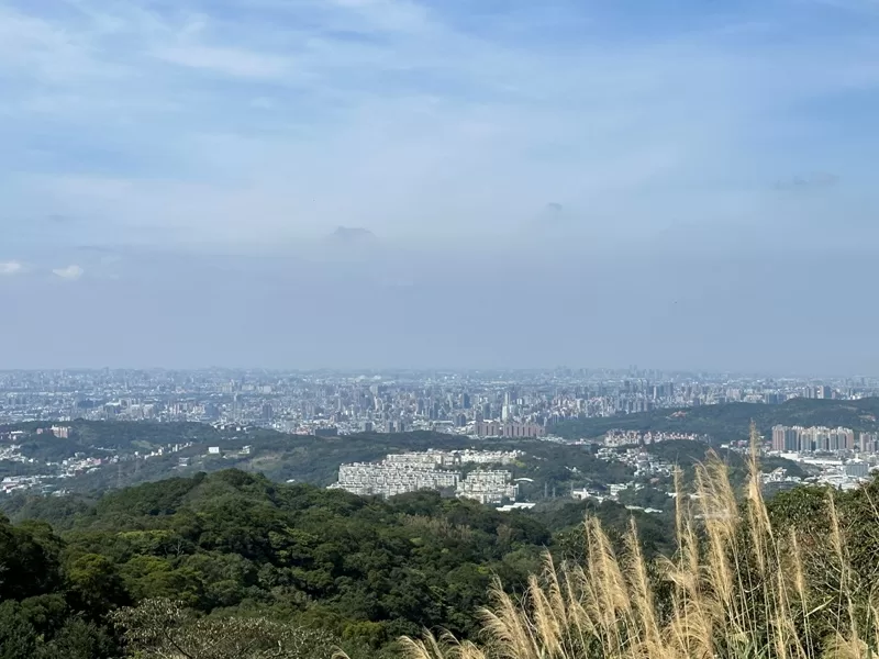 dadong13-jpeg 龜山-山佳/大棟山/樹林 春暖花開走起來