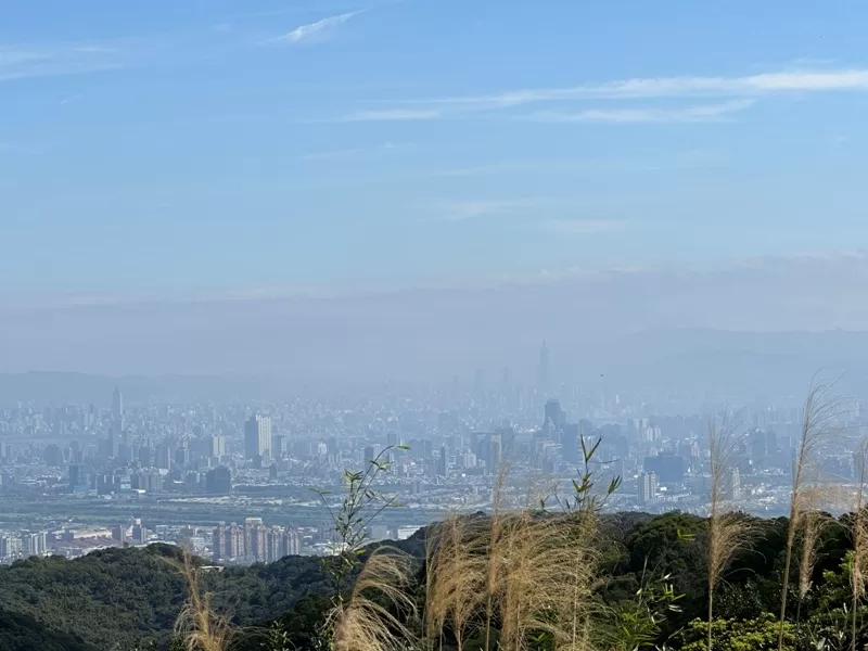 dadong15-jpg 龜山-山佳/大棟山/樹林 春暖花開走起來