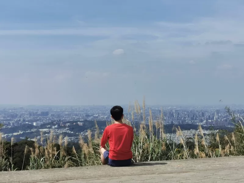 龜山-山佳/大棟山/樹林 春暖花開走起來