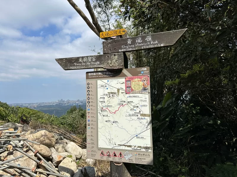 dadong19-jpg 龜山-山佳/大棟山/樹林 春暖花開走起來