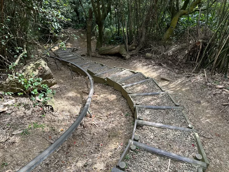dadong21-jpg 龜山-山佳/大棟山/樹林 春暖花開走起來