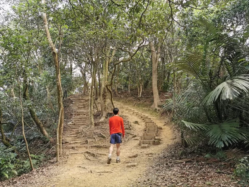 dadong23-jpg 龜山-山佳/大棟山/樹林 春暖花開走起來