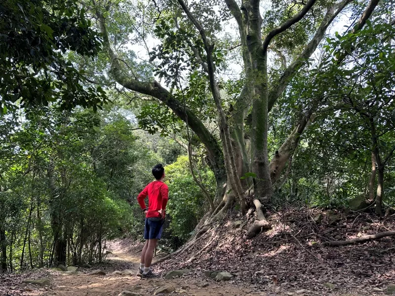 dadong24-jpg 龜山-山佳/大棟山/樹林 春暖花開走起來
