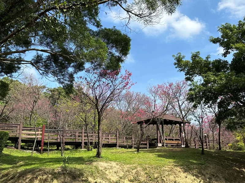 dadong26-jpg 龜山-山佳/大棟山/樹林 春暖花開走起來
