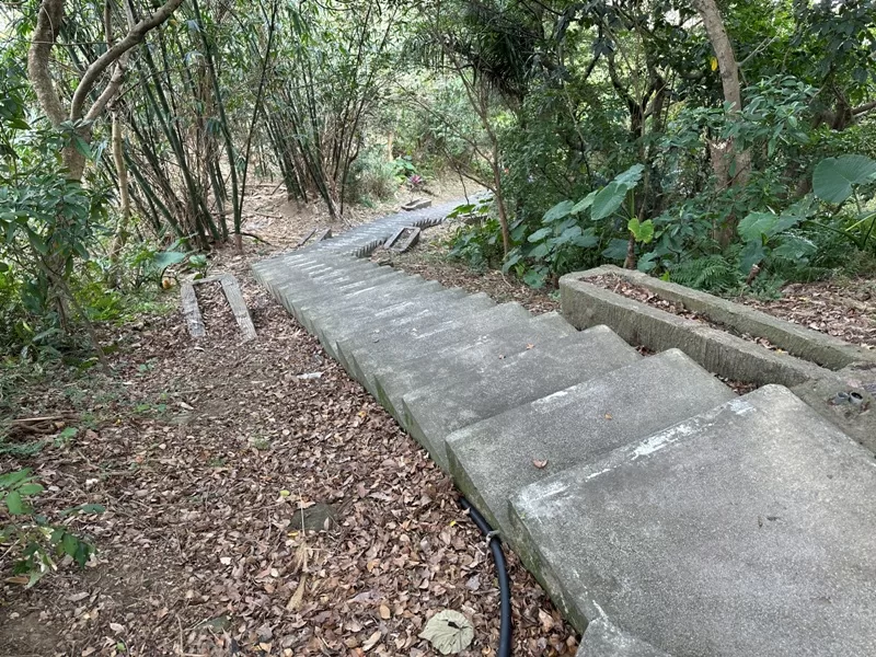 dadong32-jpg 龜山-山佳/大棟山/樹林 春暖花開走起來