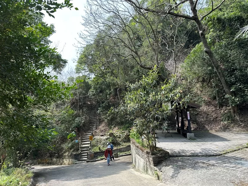 juxin06-jpg 潭子-聚興山 新田步道 春暖花開走起來