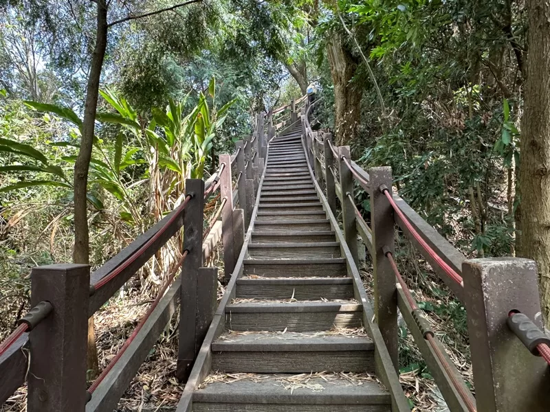 juxin11-jpg 潭子-聚興山 新田步道 春暖花開走起來