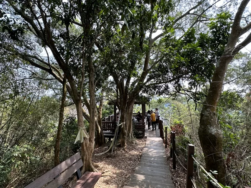 juxin17-jpg 潭子-聚興山 新田步道 春暖花開走起來