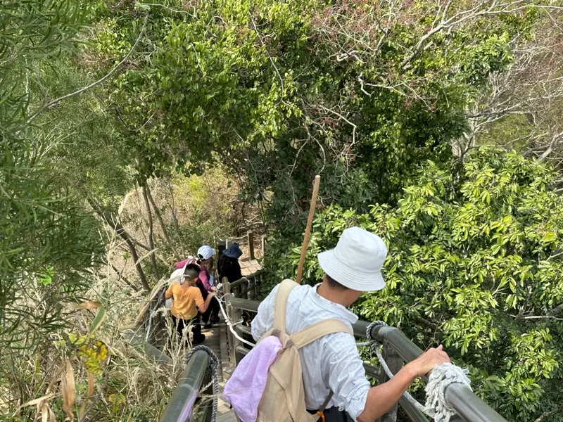 juxin20-jpg 潭子-聚興山 新田步道 春暖花開走起來