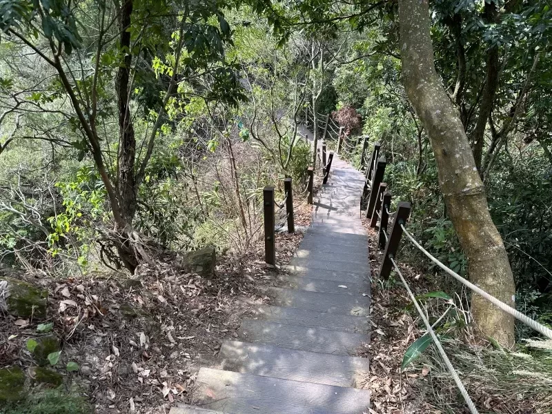 juxin21-rotated-e1709125676460 潭子-聚興山 新田步道 春暖花開走起來