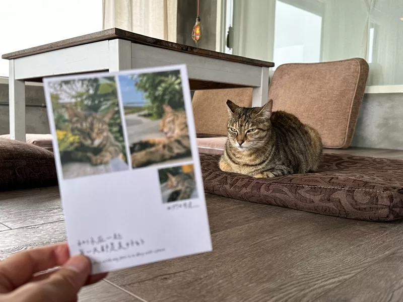 webeach1210125-jpg 三芝-我們在海邊 海景第一排 開闊舒適...甜點好吃