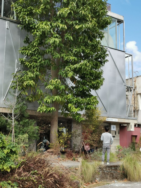 wenismcafe08 士林-走馬啡 WENISM CAFE 山林系建築 有展有咖啡