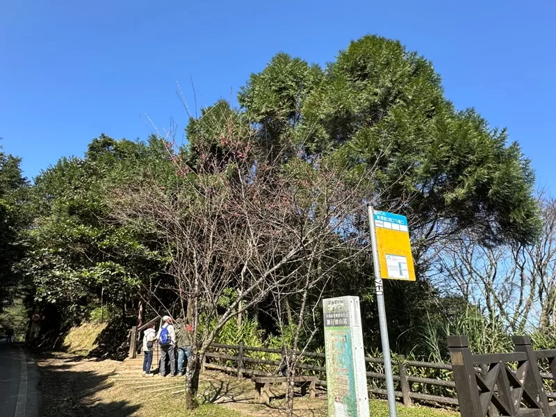 xindienlionhead03-jpg 新店-獅仔頭山 驚險崖梯輕鬆走