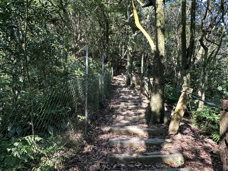 xindienlionhead04-jpg 新店-獅仔頭山 驚險崖梯輕鬆走