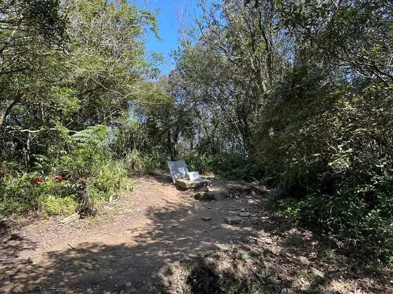 xindienlionhead19-jpg 新店-獅仔頭山 驚險崖梯輕鬆走