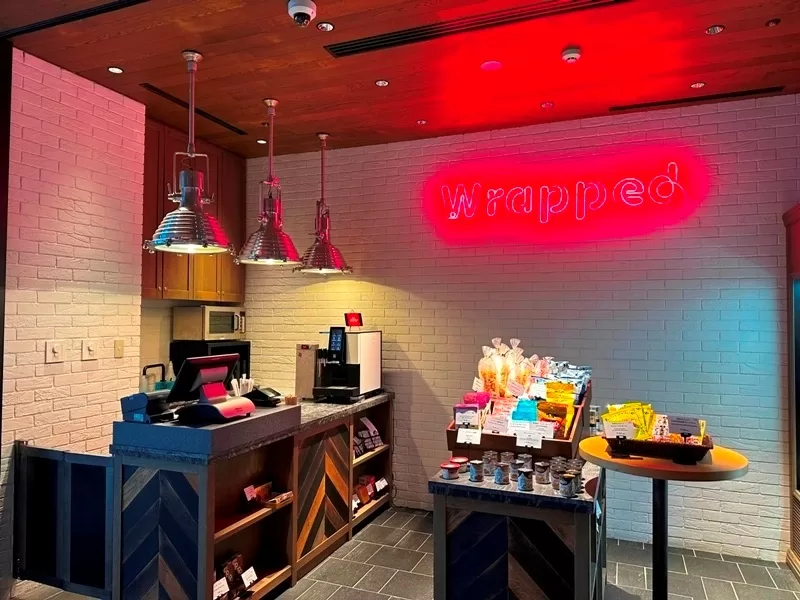 4PNGO11-jpg Aichi-名古屋中部國際機場喜來登福朋飯店 飛行概念