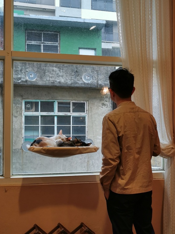 catisland14 新竹北區-貓嶼 有貓星人作伴 咖啡更好喝甜點更可口