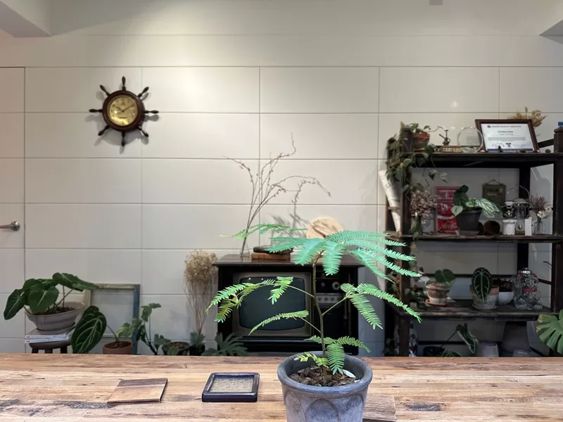 wuweitangg0108-jpg 中壢-武威堂咖啡 住宅小巷天井取光