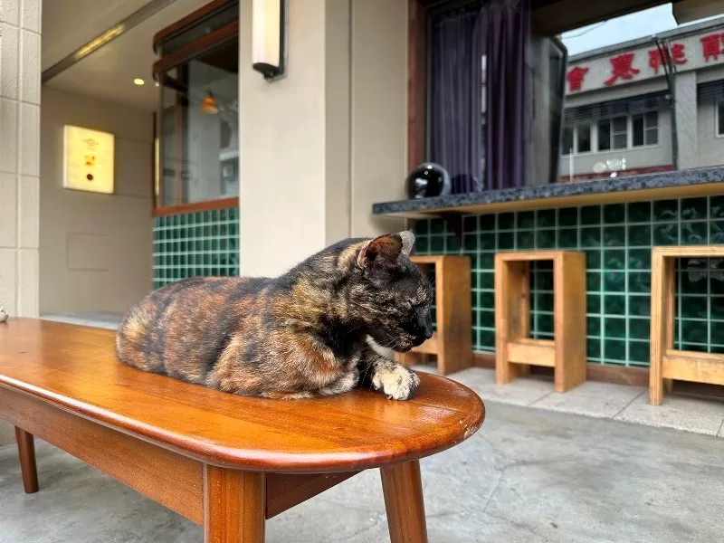 haocoffee03-jpeg 社頭-豪珈琲 襪子故鄉的老宅日式風咖啡館