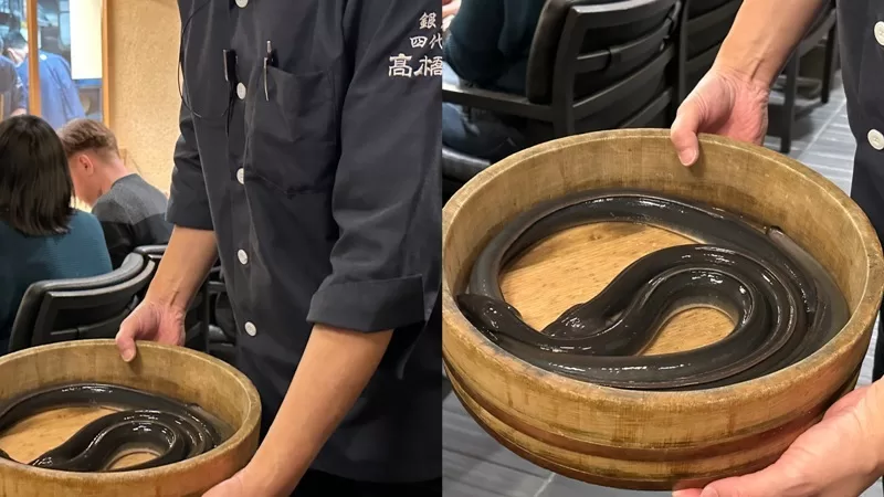 takahashiya0211-jpg Ginza-銀座 四代目 高橋屋 米其林推薦 現殺現烤的新鮮美味