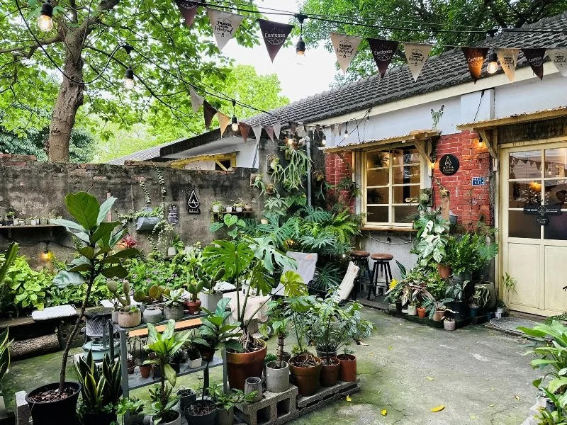 wood51503-jpeg 中壢-調香木屋Coffee馬祖新村 紅磚綠樹 氣氛好好