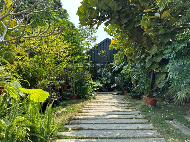 yonnokai02 新社-右之界 叢林謐境 綠意滿滿超美