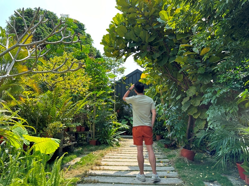 新社-右之界 叢林謐境 綠意滿滿超美