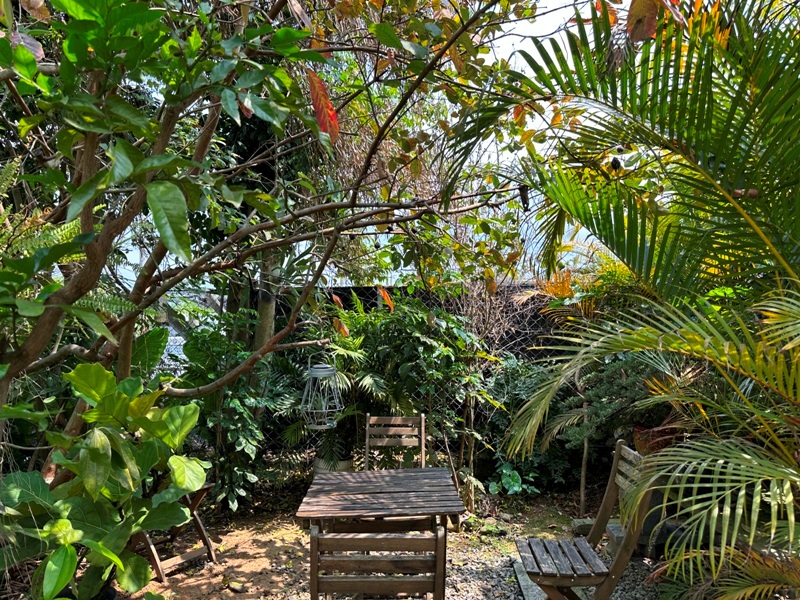 yonnokai05 新社-右之界 叢林謐境 綠意滿滿超美