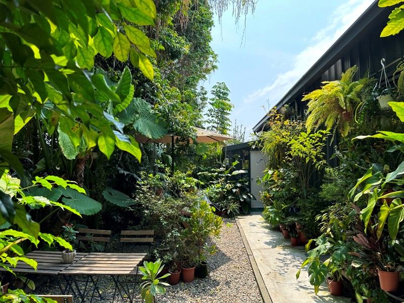 yonnokai07 新社-右之界 叢林謐境 綠意滿滿超美