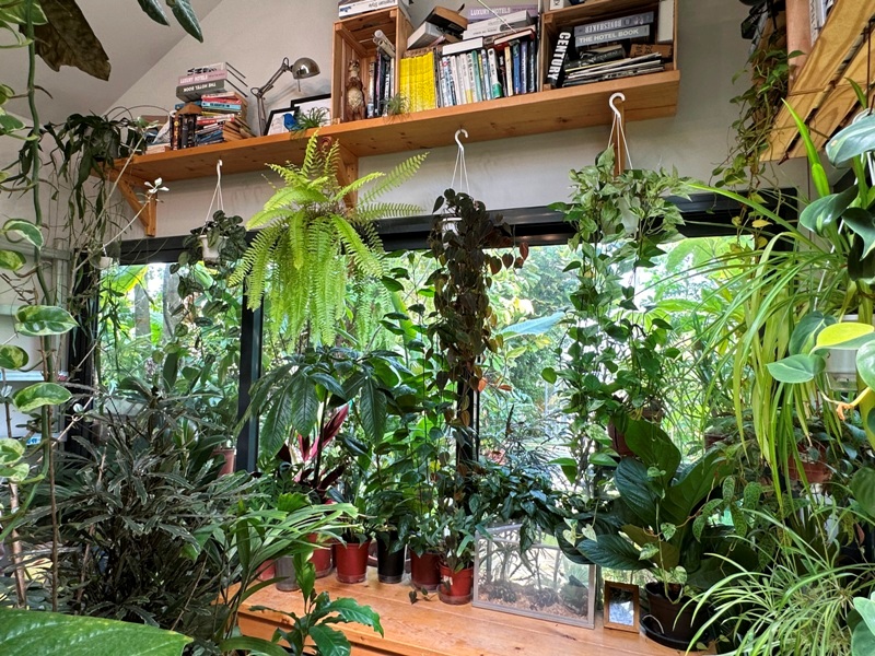 yonnokai08 新社-右之界 叢林謐境 綠意滿滿超美